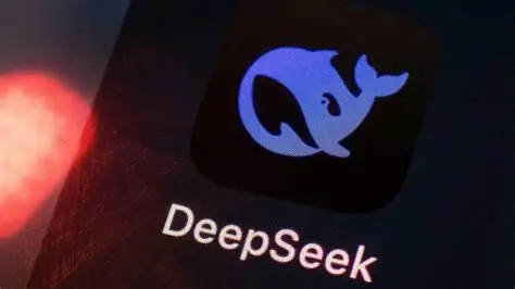 DeepSeek 大模型能力